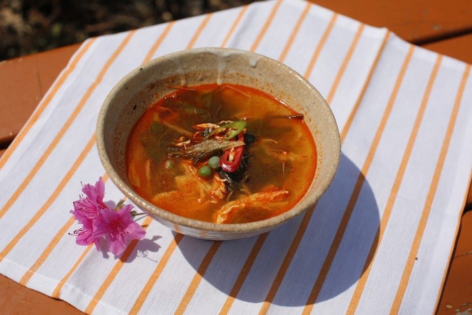 Dakgaejang (Spicy Chicken Soup)