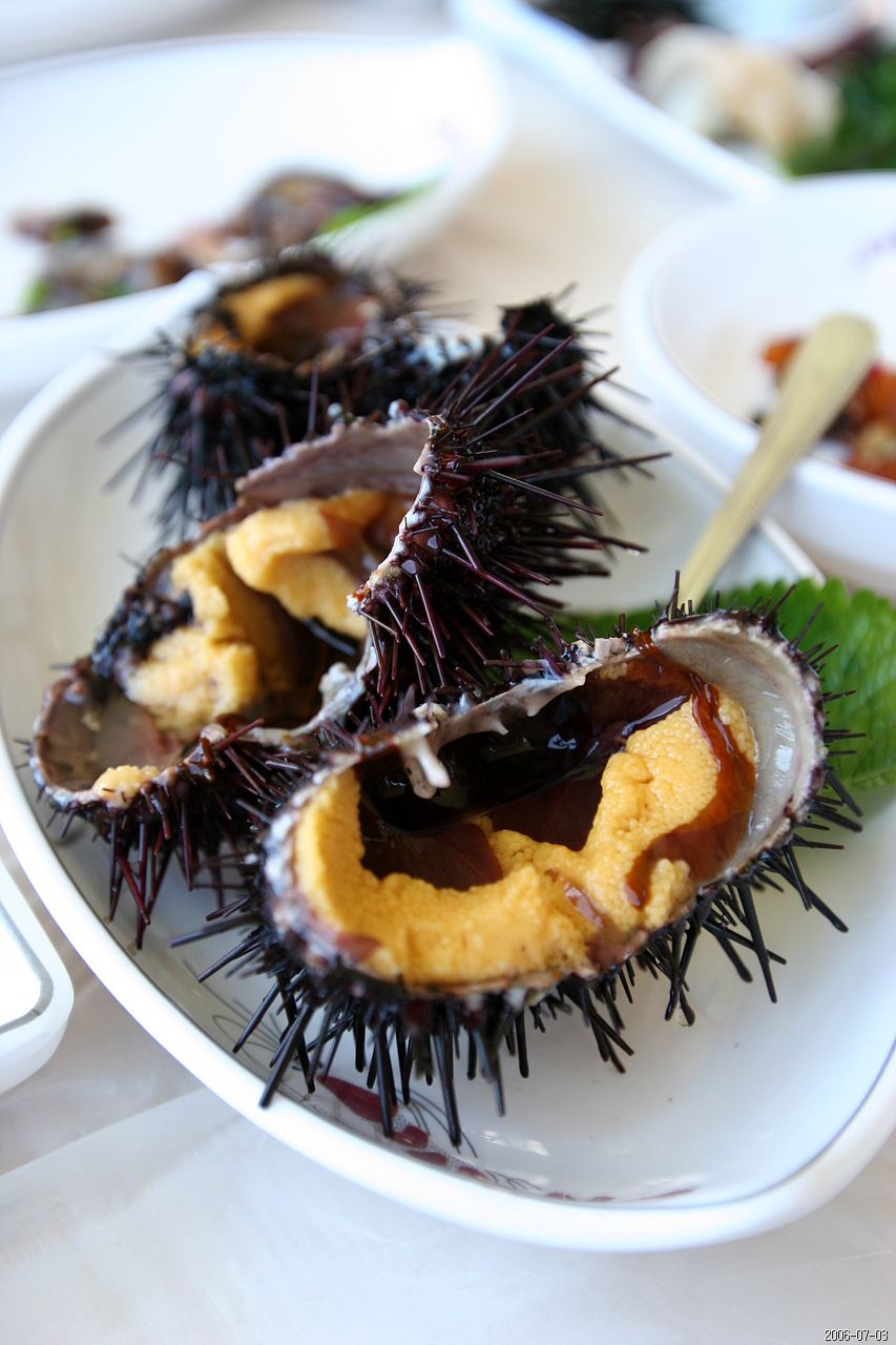 Hoe: Raw Fish and Meat in Korea
