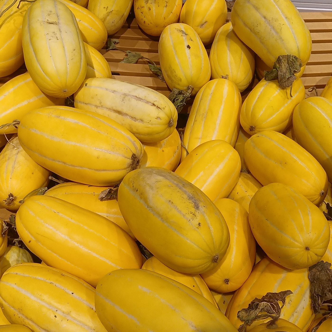Chamoe (Korean melon)