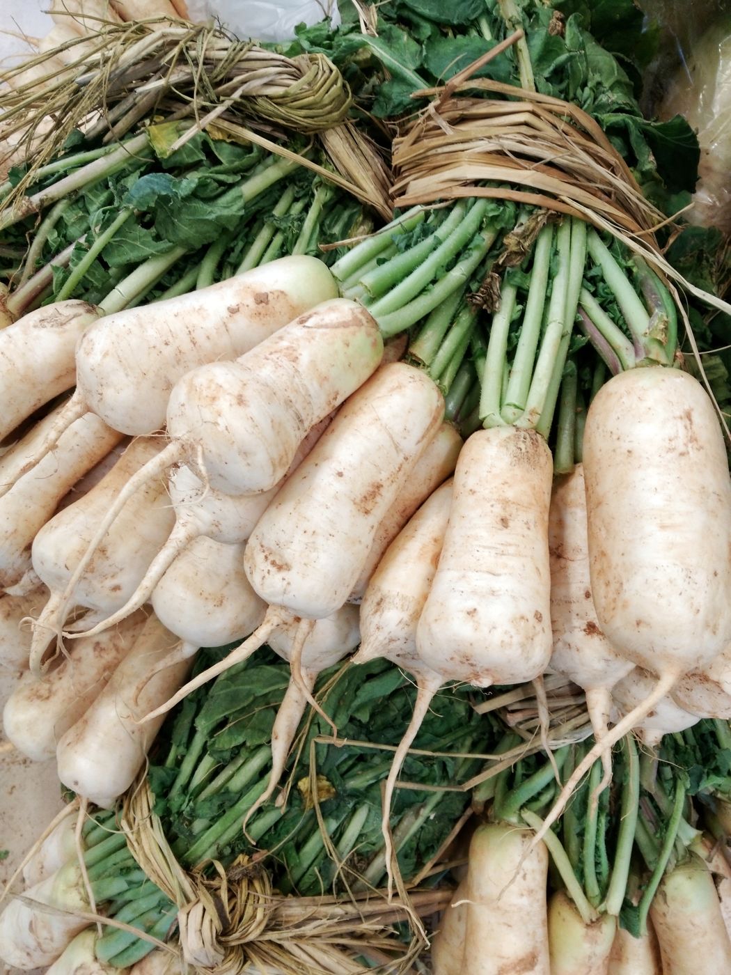 Chonggak radish (ponytail radish)