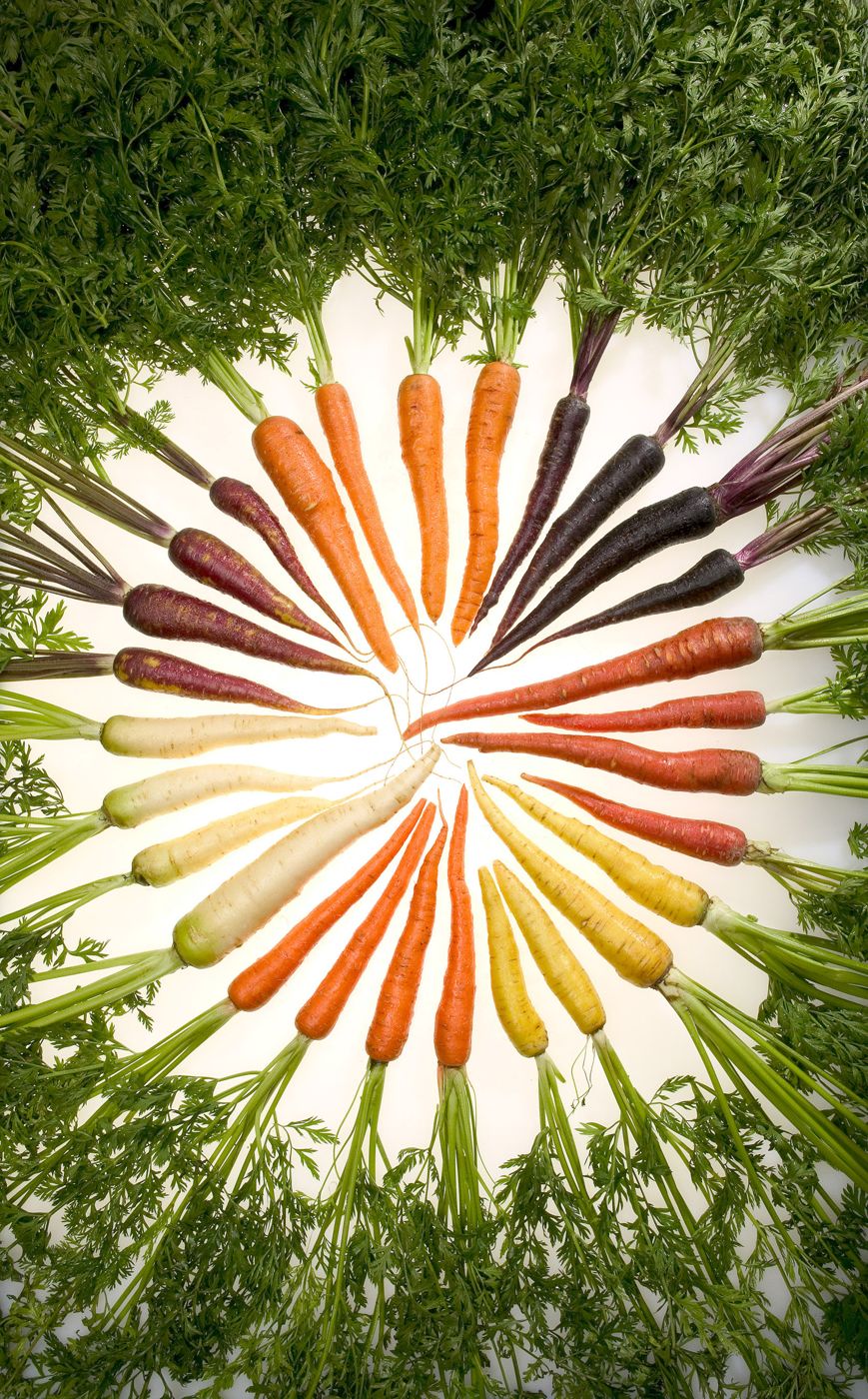 Danggeun (carrot)