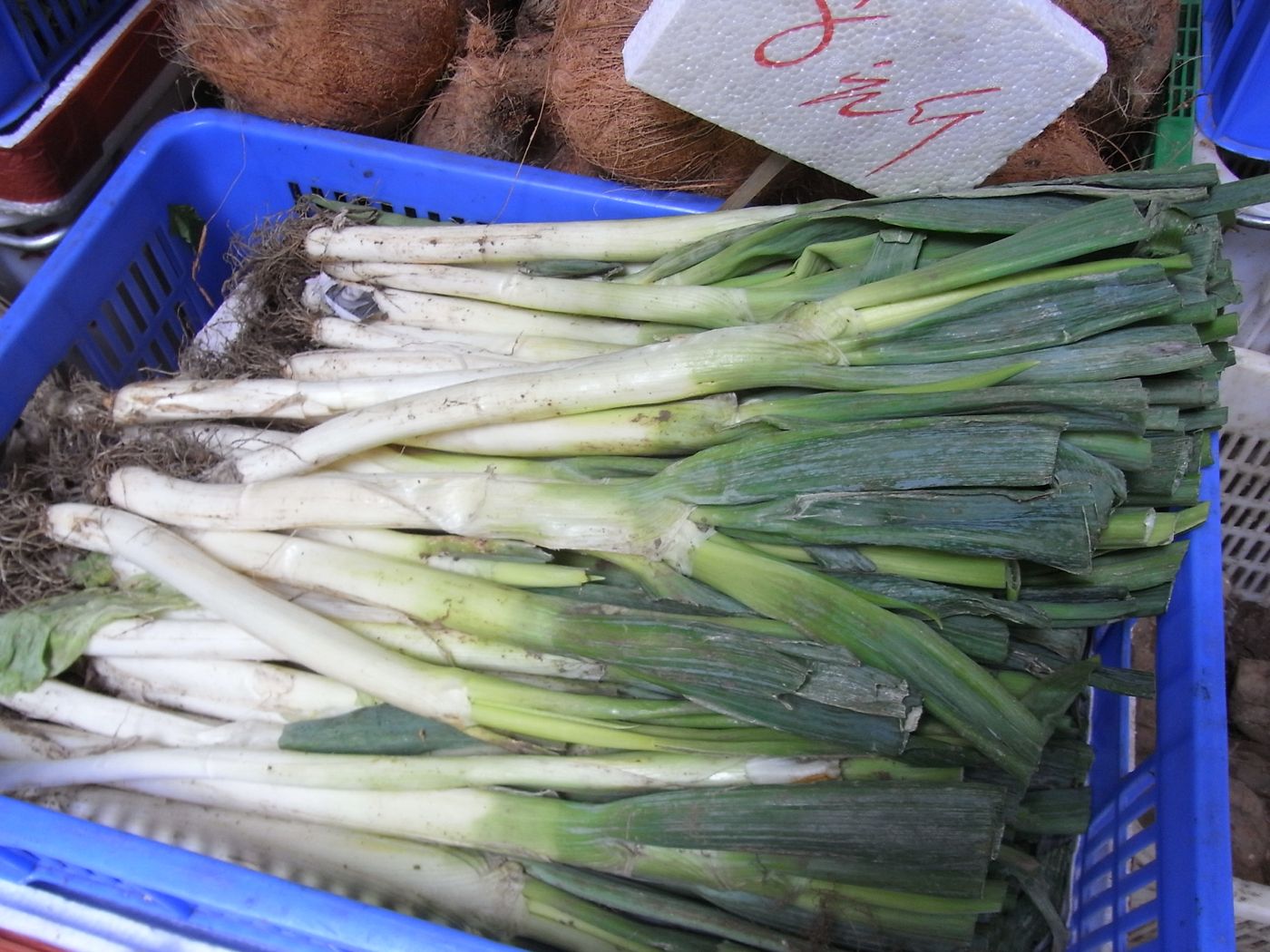 Green onion