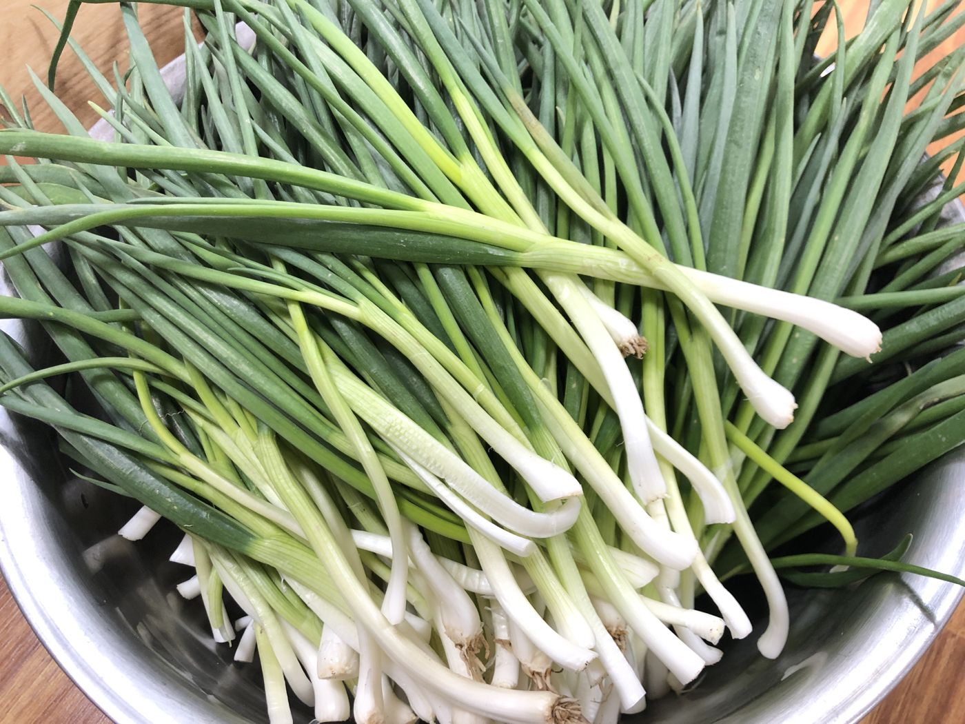 Slender Korean scallion (jjokpa)