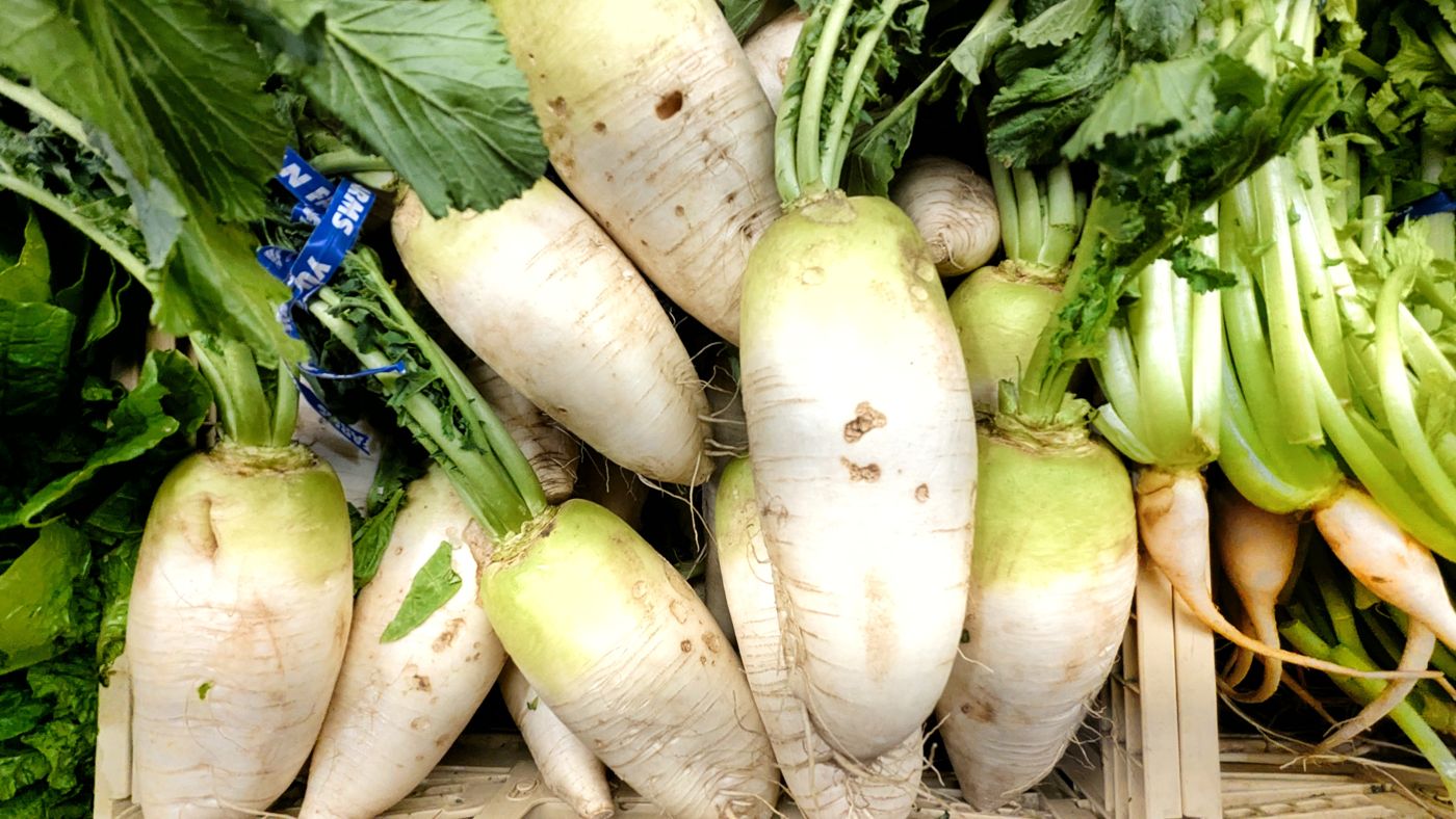 Korean radish