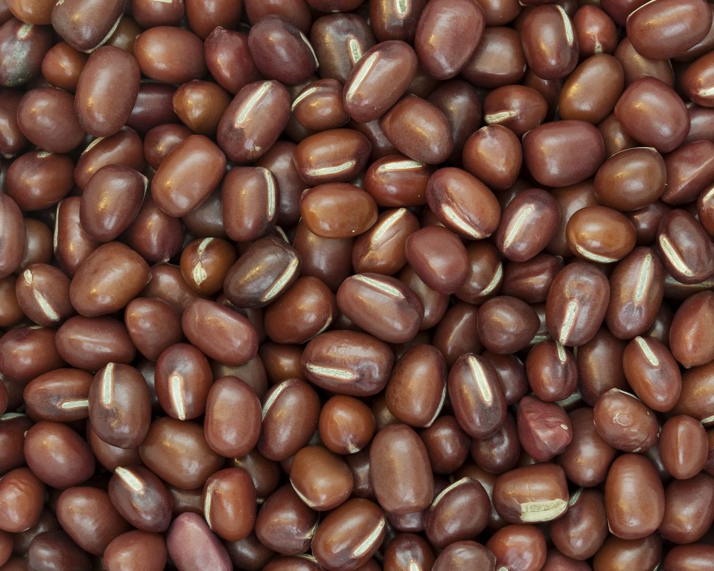 Adzuki beans (red beans)