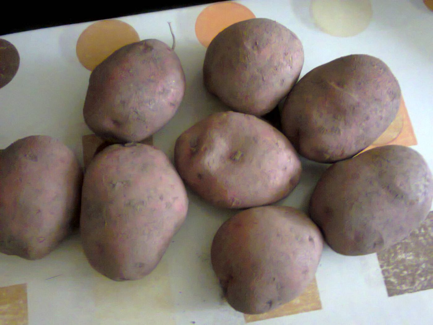 Potato