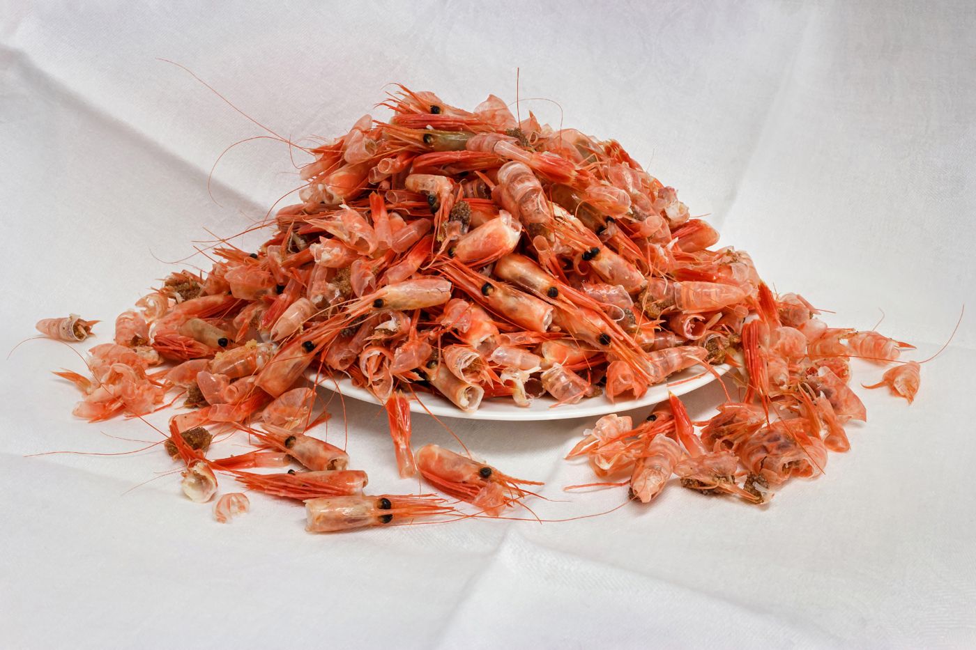 Shrimp (saeu)