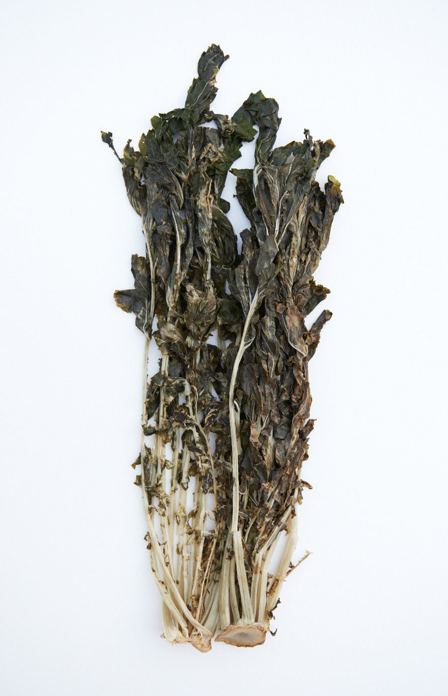Siraegi (dried radish greens)