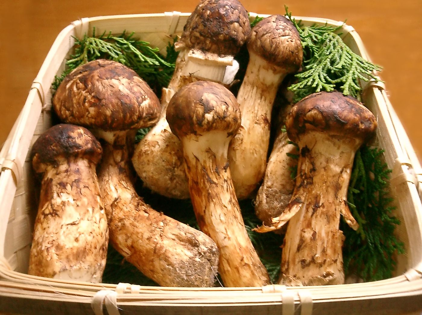 Songi-beoseot (pine mushroom)