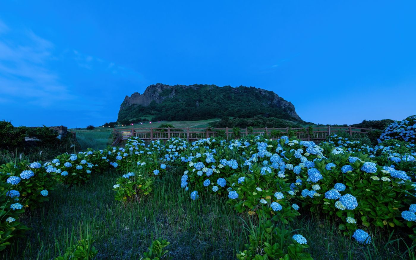 Jeju