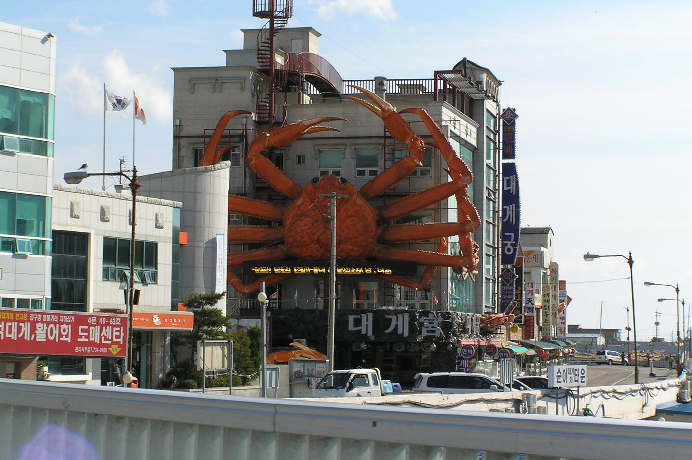 Yeongdeok