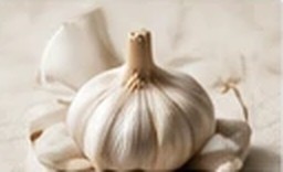 A whole bulb of garlic on linen